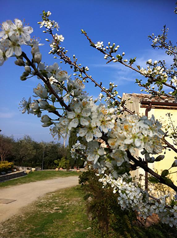 Agriturismo Frangivento Casa Giosafat Esterno foto
